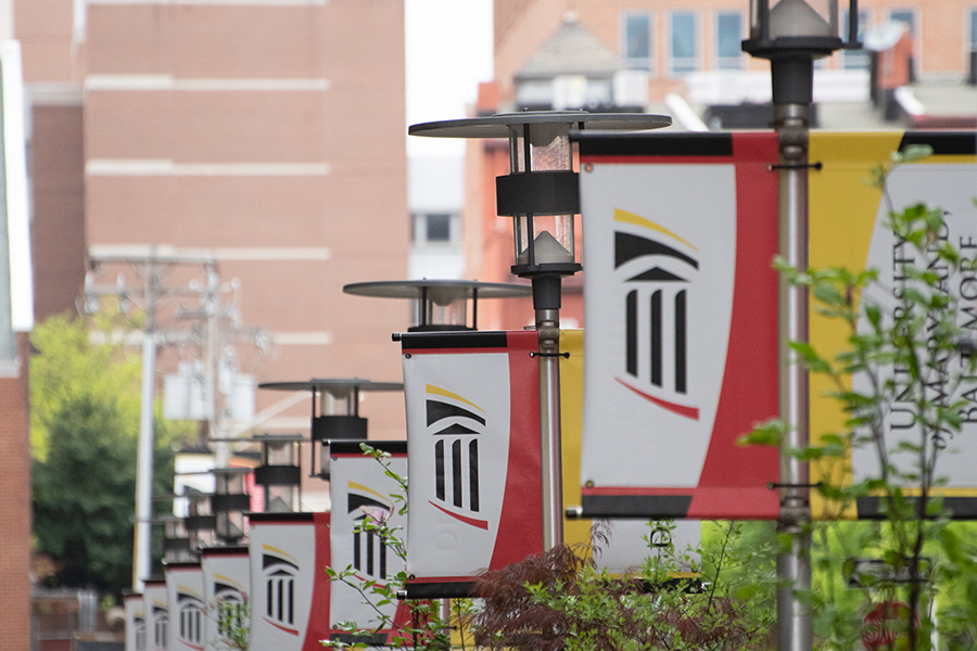 Lightpole banners with the UMB logomark